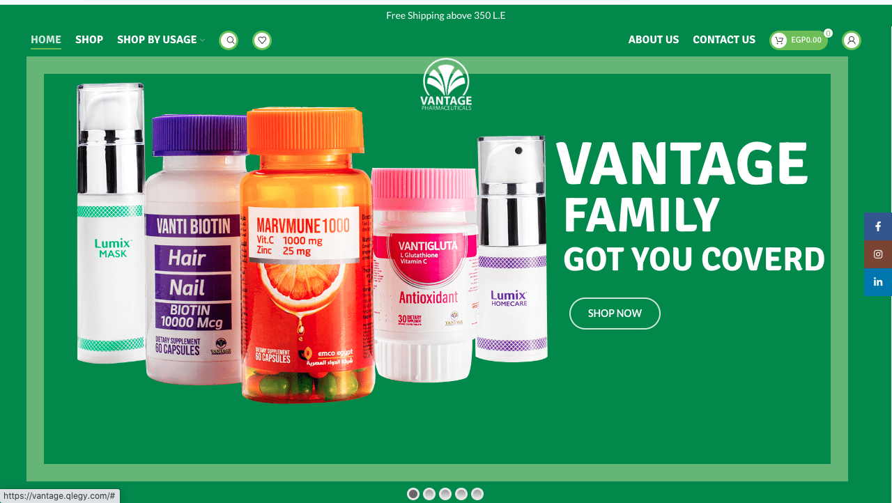 vantagemea.com portfolio image 8